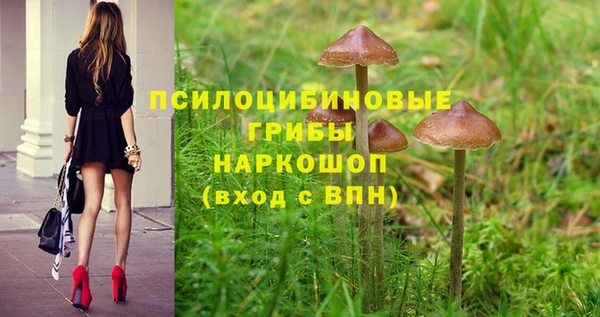 меф Вяземский