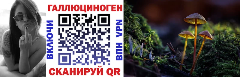 Псилоцибиновые грибы Psilocybine cubensis  omg сайт  Дегтярск  купить  сайты 
